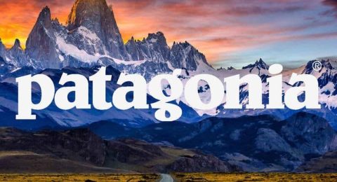 patagonia-marke-spende-steuern-umwelt